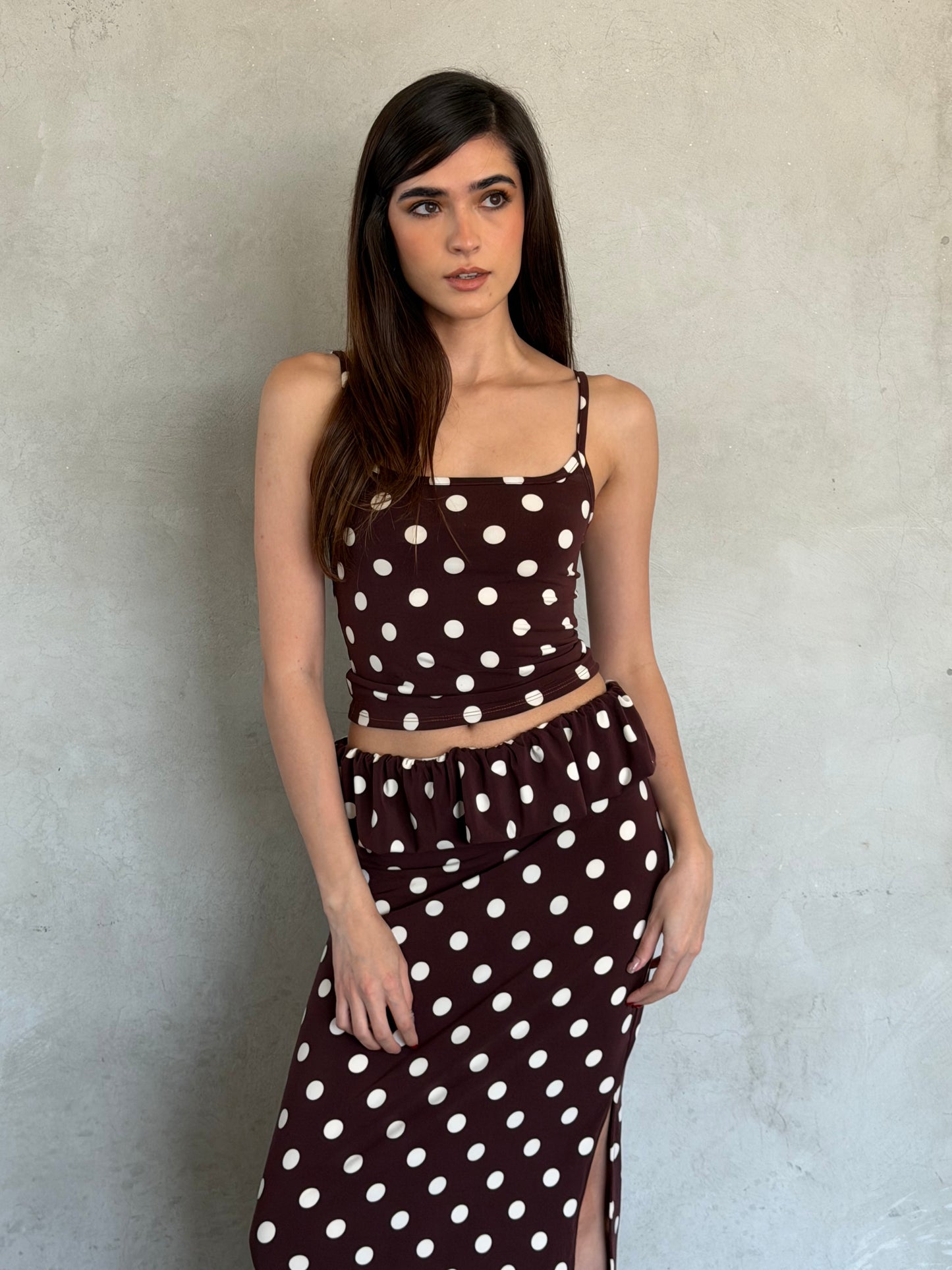 Brown Dot Set