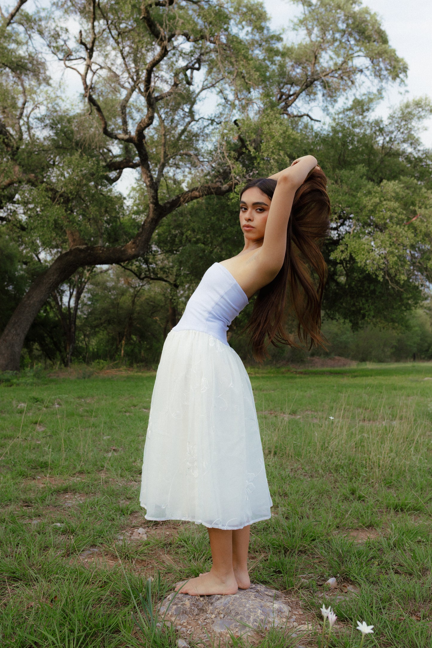 Andy Dress