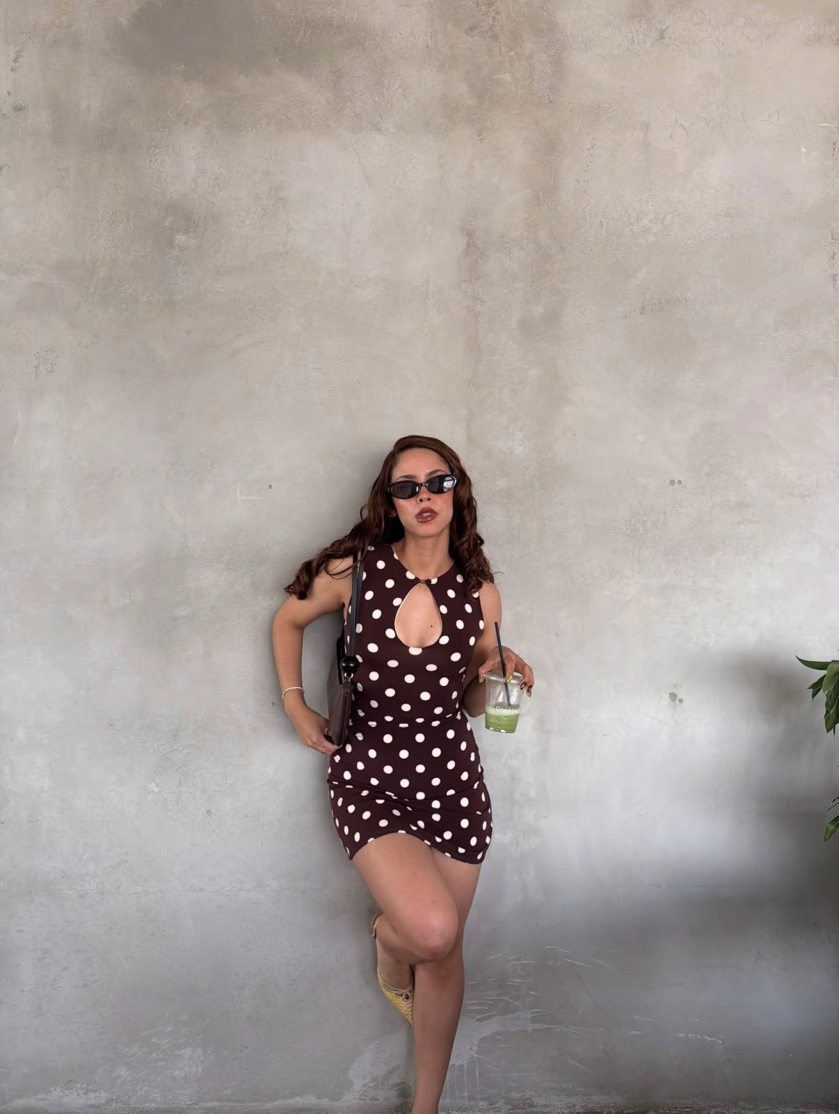 Brown Dot Dress
