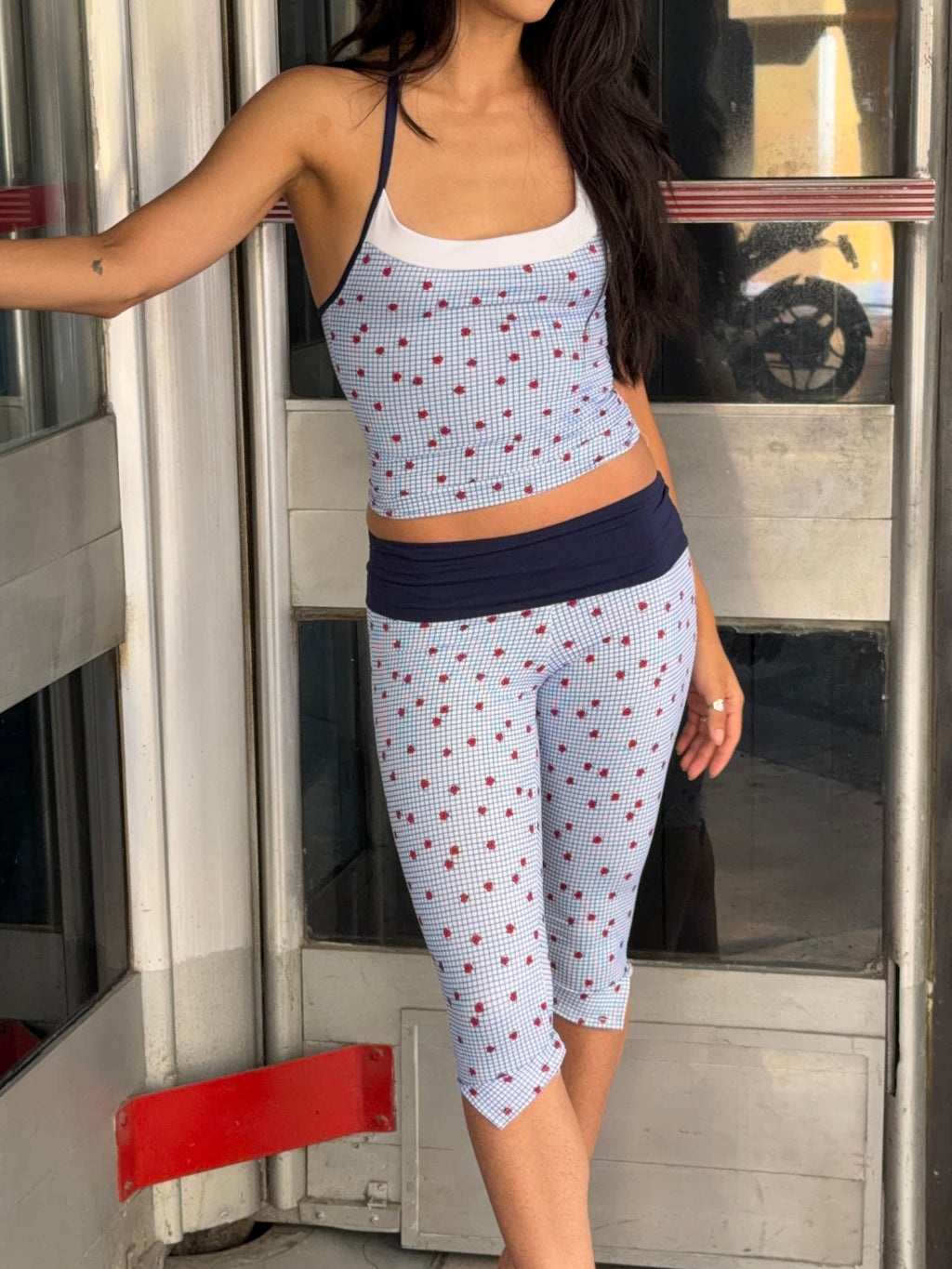 Ladybug Set